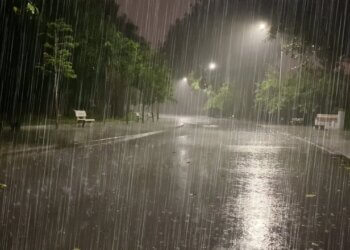 Shiu nuk duhet t’ju mërzis, aroma e tij i sjell shumë përfitime organizmit