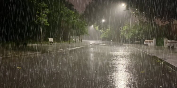 Shiu nuk duhet t’ju mërzis, aroma e tij i sjell shumë përfitime organizmit