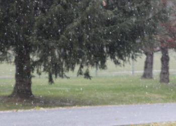 Moti për ditën e sotme