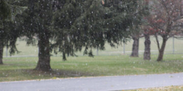 Moti për ditën e sotme