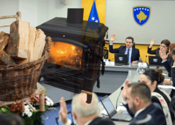 Qeveria ndan 5 milionë euro për blerjen e druve, do të përfitojnë këto kategori