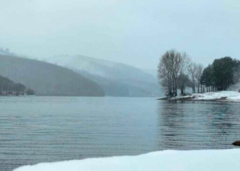 Moti për ditën e sotme