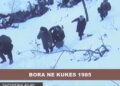 Dimri i ashpër i vitit 1985 në Shqipëri dhe reagimi i shtetit të atëhershëm Shqiptar!