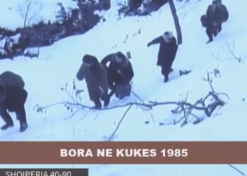 Dimri i ashpër i vitit 1985 në Shqipëri dhe reagimi i shtetit të atëhershëm Shqiptar!