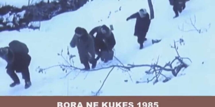 Dimri i ashpër i vitit 1985 në Shqipëri dhe reagimi i shtetit të atëhershëm Shqiptar!
