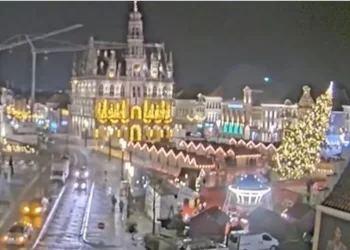 Tragjedi në Belgjikë, rrëzohet bredhi gjigant i qytetit, vdes një grua