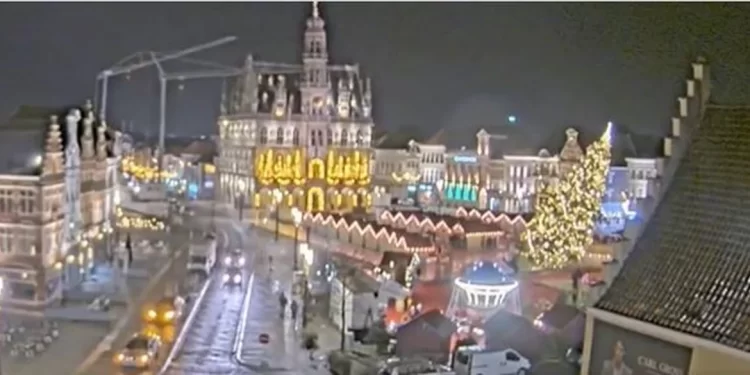 Tragjedi në Belgjikë, rrëzohet bredhi gjigant i qytetit, vdes një grua