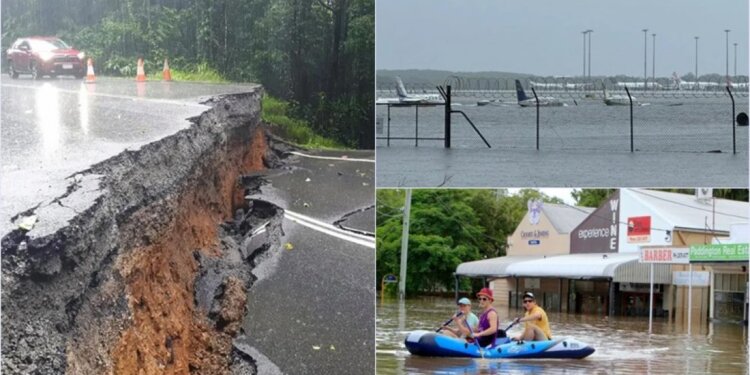 Përmbytjet masive në Australi, krokodilët shihen rrugëve