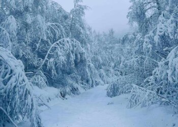 Dëbora arrin në 30 centimetra në Shishtavec, pa energji disa fshatra në Kukës!