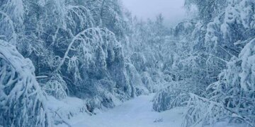 Dëbora arrin në 30 centimetra në Shishtavec, pa energji disa fshatra në Kukës!