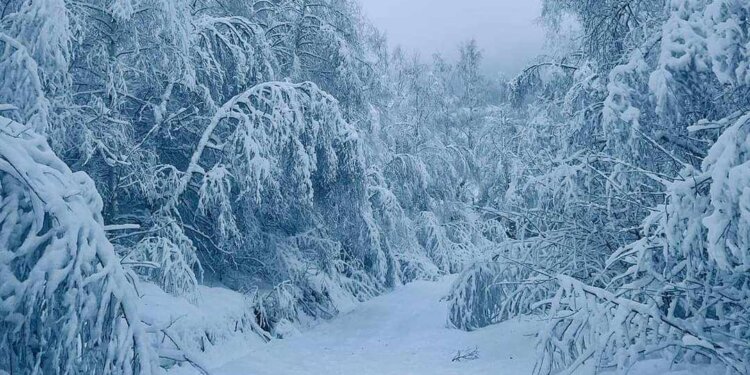 Dëbora arrin në 30 centimetra në Shishtavec, pa energji disa fshatra në Kukës!