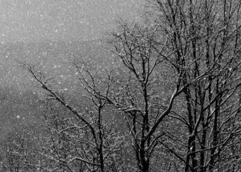 Moti për ditën e sotme