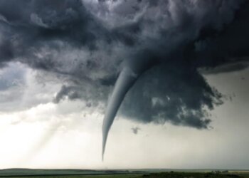 Tornadoja merr me vete foshnjën 4 muajshe, i vogli shpëton mrekullisht nga një pemë e rënë