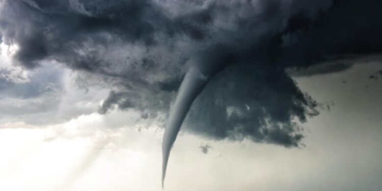 Tornadoja merr me vete foshnjën 4 muajshe, i vogli shpëton mrekullisht nga një pemë e rënë