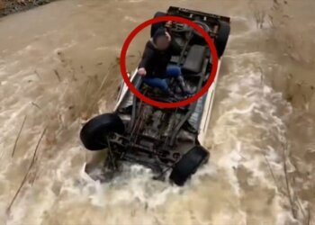 U rrokullis me veturë në liqen, gruaja nga Kalifornia qëndron mbi mjet për 14 orë – momenti kur shpëtohet