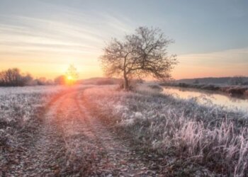 Moti për ditën e sotme