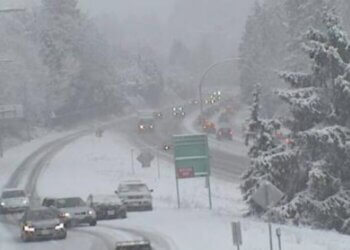 Kanadaja del me kërkesë të çuditshme për vozitësit