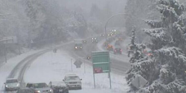 Kanadaja del me kërkesë të çuditshme për vozitësit