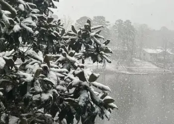 Moti për ditën e sotme