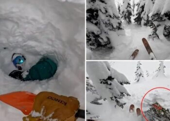 Kishin dalë për skijim, bora “i varrosi për së gjalli” – pamje nga shpëtimi i skiatorëve në Nevada dhe Kaliforni!