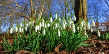 Moti nesër dhe ditëve në vazhdim! (05.02.2024.) E Hënë