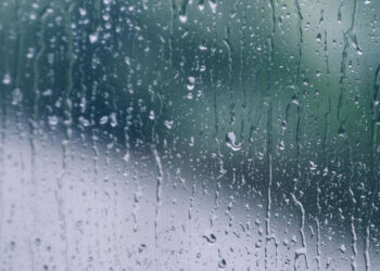 Moti për ditën e sotme