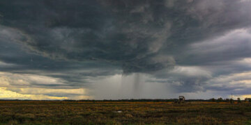 Moti për ditën e sotme