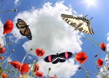 Moti nesër dhe ditëve në vazhdim! (09/04.2024.) E Martë