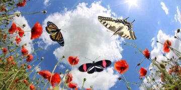 Moti nesër dhe ditëve në vazhdim! (09/04.2024.) E Martë