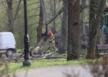 Pesë të vdekur nga rrëzimi i pemëve teksa erërat arrijnë shpejtësinë prej 155 km/h në Poloni
