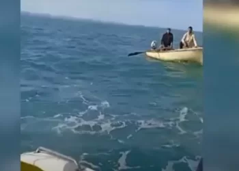 Shkuan për peshkim, por u përballën me dallgë të larta, policia kufitare shpëton dy persona në Shëngjin