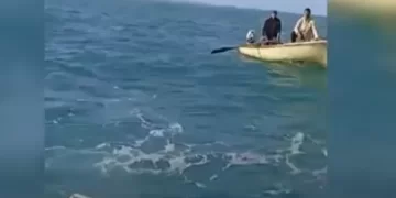 Shkuan për peshkim, por u përballën me dallgë të larta, policia kufitare shpëton dy persona në Shëngjin