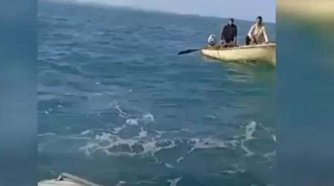 Shkuan për peshkim, por u përballën me dallgë të larta, policia kufitare shpëton dy persona në Shëngjin