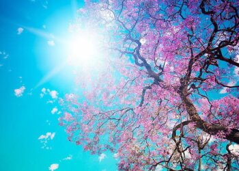 Moti nesër dhe ditëve në vazhdim! (11.04.2024.) E Enjte