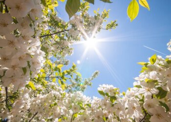 Moti nesër dhe ditëve në vazhdim! (14.04.2024.) E Diele