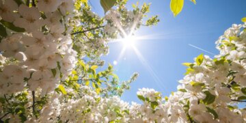 Moti nesër dhe ditëve në vazhdim! (14.04.2024.) E Diele