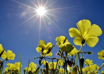 Moti nesër dhe ditëve në vazhdim! (06.04.2024.) E Shtunë