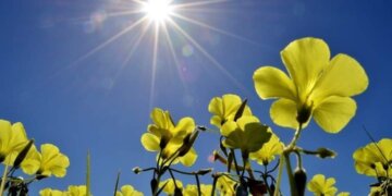 Moti nesër dhe ditëve në vazhdim! (06.04.2024.) E Shtunë
