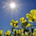 Moti nesër dhe ditëve në vazhdim! (06.04.2024.) E Shtunë