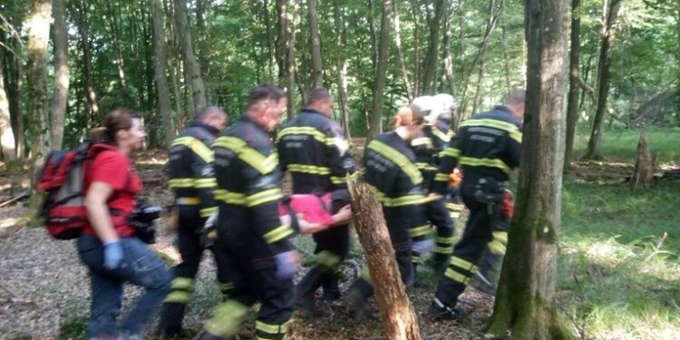 Rrëzohet një aeroplan në Kroaci, një i vdekur e katër të plagosur