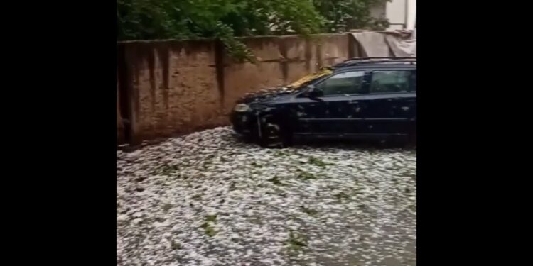 “Dëmet në bujqësi në Han të Elezit janë të mëdha”