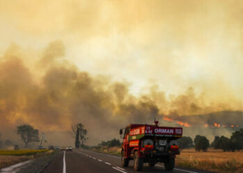 Rritet numri i të vdekurve në Turqi, temperaturat e larta shkaktuan zjarre të shumta