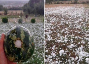 Breshri i madh shkatërron kulturat bujqësore në disa pjesë të vendit