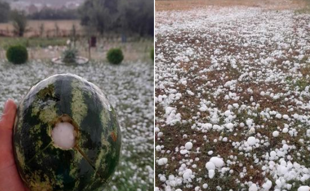 Breshri i madh shkatërron kulturat bujqësore në disa pjesë të vendit