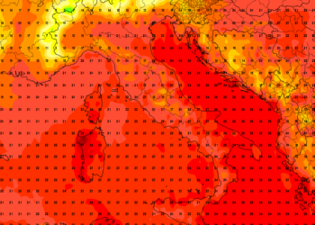 Sonte natë tropikale!