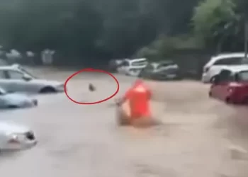 Reshjet e shiut përmbytin rrugët në Beograd, një grua rrezikon të mbytet