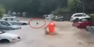 Reshjet e shiut përmbytin rrugët në Beograd, një grua rrezikon të mbytet