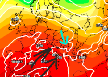 Moti javor, si po fillon Gushti?