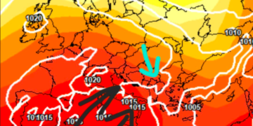 Moti javor, si po fillon Gushti?