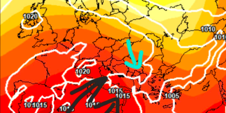 Moti javor, si po fillon Gushti?
